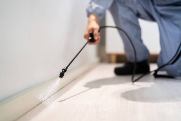 Certified termite inspector examining foundation in Morongo Valley